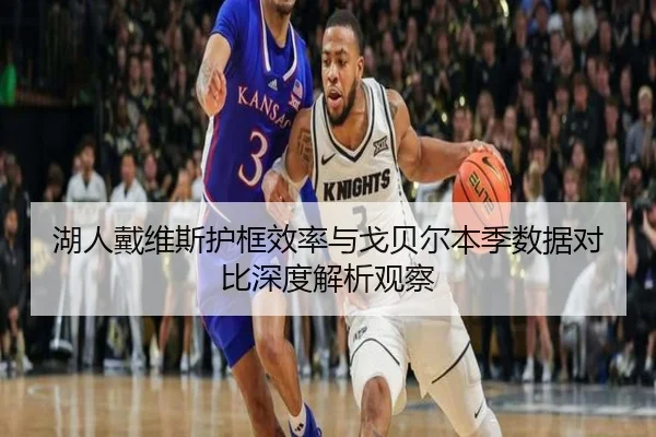 湖人戴维斯护框效率与戈贝尔本季数据对比深度解析观察