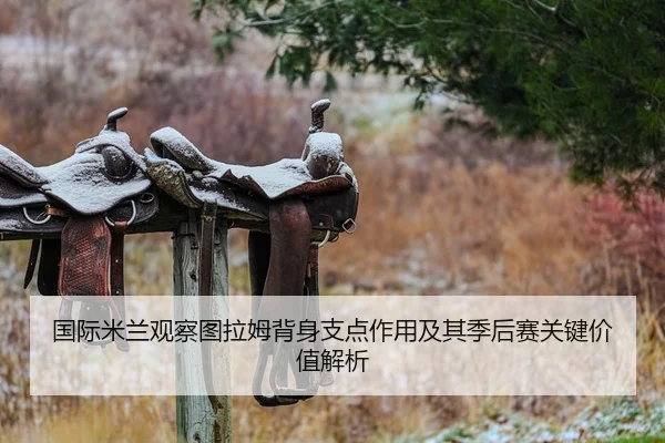 国际米兰观察图拉姆背身支点作用及其季后赛关键价值解析
